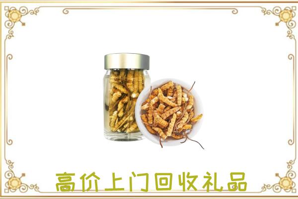 宁蒗周边回收虫草